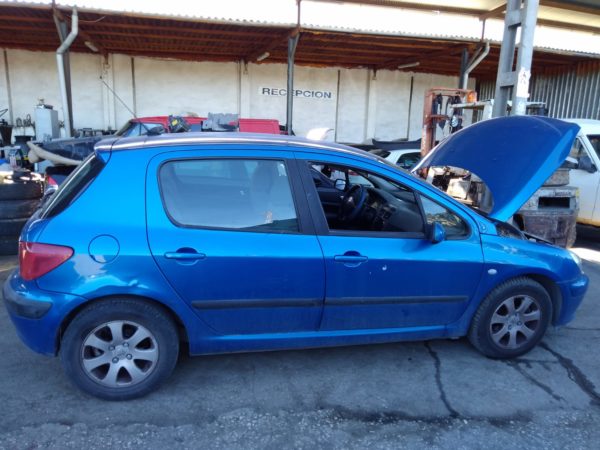 Renault 307, 1.6 Gasolina